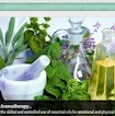 Something Smells Good! Aromatherapy